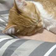 ヒメ日記 2025/05/20 15:11 投稿 りりな ダイスキ