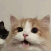 ヒメ日記 2025/05/22 15:07 投稿 りりな ダイスキ