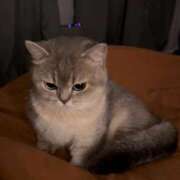 ヒメ日記 2025/06/01 19:30 投稿 りりな ダイスキ