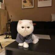 ヒメ日記 2025/06/06 16:10 投稿 りりな ダイスキ