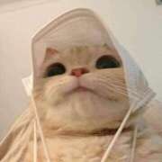 ヒメ日記 2025/06/13 14:36 投稿 りりな ダイスキ