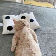 ヒメ日記 2025/06/18 14:46 投稿 りりな ダイスキ