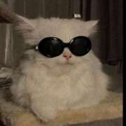 ヒメ日記 2025/06/24 21:00 投稿 りりな ダイスキ