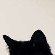 ヒメ日記 2025/06/26 16:56 投稿 りりな ダイスキ