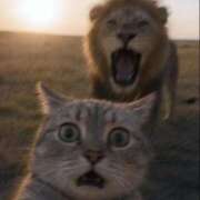 ヒメ日記 2025/06/30 00:52 投稿 りりな ダイスキ