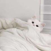 ヒメ日記 2025/07/13 09:35 投稿 りりな ダイスキ