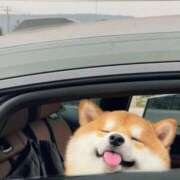 ヒメ日記 2025/07/24 17:20 投稿 りりな ダイスキ