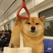 ヒメ日記 2025/07/25 23:53 投稿 りりな ダイスキ