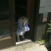 ヒメ日記 2025/07/27 09:43 投稿 りりな ダイスキ