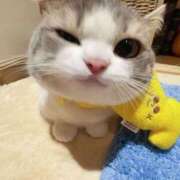 ヒメ日記 2025/07/29 18:22 投稿 りりな ダイスキ