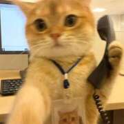 ヒメ日記 2025/07/29 21:26 投稿 りりな ダイスキ