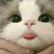 ヒメ日記 2025/07/30 20:08 投稿 りりな ダイスキ