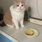 ヒメ日記 2025/07/31 13:31 投稿 りりな ダイスキ