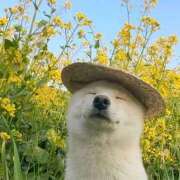 ヒメ日記 2025/08/04 10:31 投稿 りりな ダイスキ