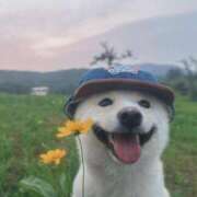 ヒメ日記 2025/08/04 13:46 投稿 りりな ダイスキ