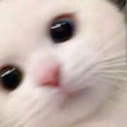 ヒメ日記 2025/08/06 16:54 投稿 りりな ダイスキ