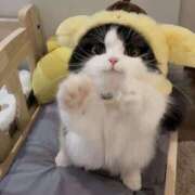 ヒメ日記 2025/08/10 13:08 投稿 りりな ダイスキ