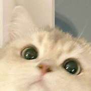 ヒメ日記 2025/08/14 10:41 投稿 りりな ダイスキ