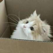 ヒメ日記 2025/08/21 10:24 投稿 りりな ダイスキ