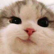 ヒメ日記 2025/09/02 17:15 投稿 りりな ダイスキ