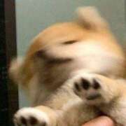 ヒメ日記 2025/09/06 09:05 投稿 りりな ダイスキ