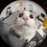 ヒメ日記 2025/09/18 18:36 投稿 りりな ダイスキ