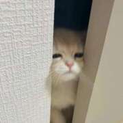 ヒメ日記 2025/09/19 10:44 投稿 りりな ダイスキ