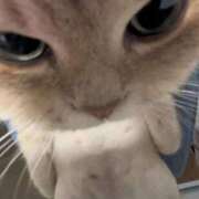 ヒメ日記 2025/09/24 21:05 投稿 りりな ダイスキ