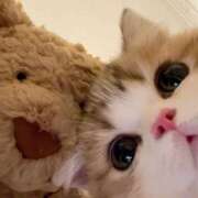 ヒメ日記 2025/10/02 14:09 投稿 りりな ダイスキ