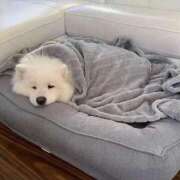 ヒメ日記 2025/10/02 17:48 投稿 りりな ダイスキ