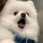 ヒメ日記 2025/10/03 13:48 投稿 りりな ダイスキ