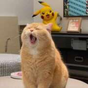 ヒメ日記 2025/10/10 17:42 投稿 りりな ダイスキ