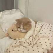 ヒメ日記 2025/10/24 11:00 投稿 りりな ダイスキ