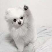 ヒメ日記 2025/11/02 15:13 投稿 りりな ダイスキ