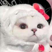 ヒメ日記 2025/12/20 15:40 投稿 りりな ダイスキ