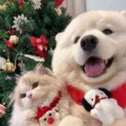 ヒメ日記 2025/12/24 14:43 投稿 りりな ダイスキ