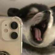 ヒメ日記 2025/12/30 13:23 投稿 りりな ダイスキ