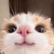 ヒメ日記 2026/02/19 16:30 投稿 りりな ダイスキ