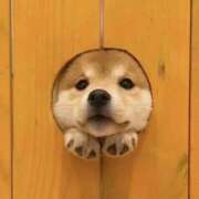 りりな 完売ありがちゅ ダイスキ