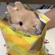 ヒメ日記 2026/04/14 21:10 投稿 りりな ダイスキ