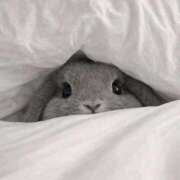 ヒメ日記 2026/04/23 09:17 投稿 りりな ダイスキ