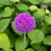 ヒメ日記 2024/12/23 05:22 投稿 ゆら 熟女＆人妻＆ぽっちゃり倶楽部