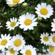 ヒメ日記 2024/12/24 04:36 投稿 ゆら 熟女＆人妻＆ぽっちゃり倶楽部