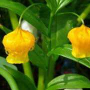 ヒメ日記 2024/12/24 07:38 投稿 ゆら 熟女＆人妻＆ぽっちゃり倶楽部