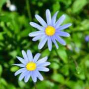 ヒメ日記 2024/12/25 03:20 投稿 ゆら 熟女＆人妻＆ぽっちゃり倶楽部