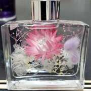 ヒメ日記 2024/12/25 14:26 投稿 ゆら 熟女＆人妻＆ぽっちゃり倶楽部