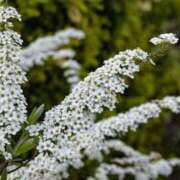 ヒメ日記 2025/03/11 07:46 投稿 ゆら 熟女＆人妻＆ぽっちゃり倶楽部