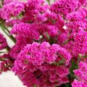 ヒメ日記 2025/04/19 03:26 投稿 ゆら 熟女＆人妻＆ぽっちゃり倶楽部