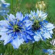 ヒメ日記 2025/04/19 10:46 投稿 ゆら 熟女＆人妻＆ぽっちゃり倶楽部