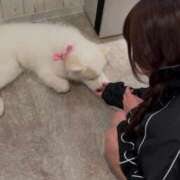 ヒメ日記 2025/04/15 21:21 投稿 竜宮 うらら 超LEXUS